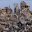 IMG_3975.jpeg