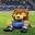lion.jpeg