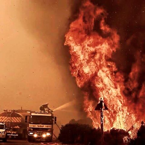 fire.jpg