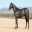 LOT141.jpg