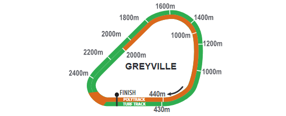 Greyville_2021-08-16.png