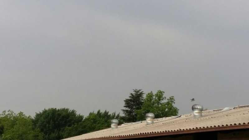IMG_1890.JPG