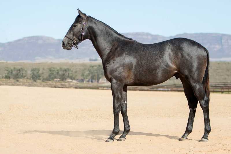 LOT141.jpg