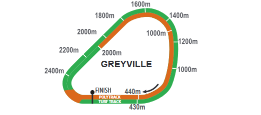 Screenshot_2021-02-09CFSA_GREYVILLE20210210indb-HOLLYWOODBETSGREYVILLE20210210pdf.png
