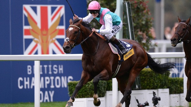 frankel.jpeg