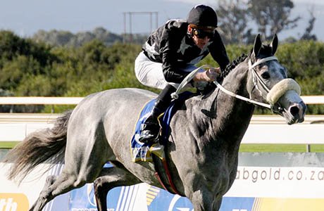 king-of-pain-k120623.jpg