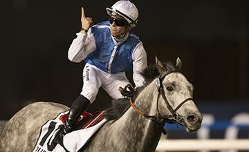 solow.jpg