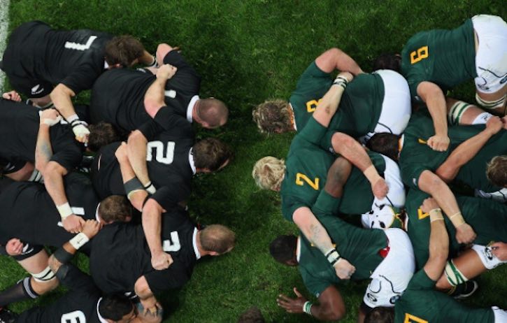 springboks.jpg