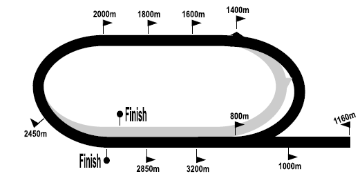 turfstand_2020-11-13.png