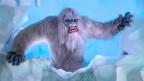 YETI's Avatar